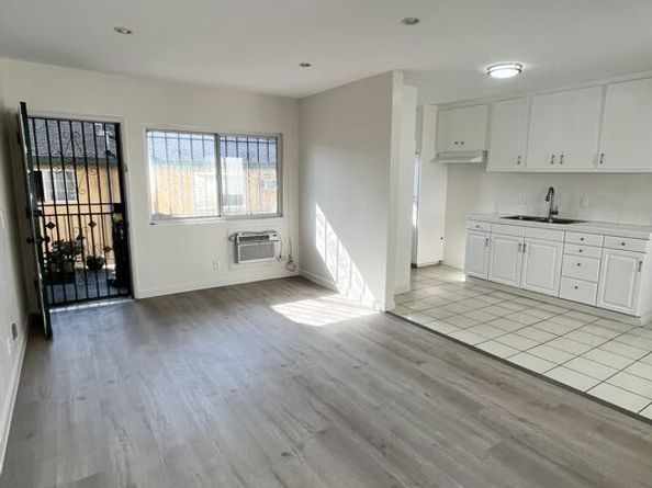 1132 S Oxford Avenue, Los Angeles CA 90006