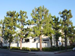8380 Waring Avenue 308, West Hollywood CA 90069