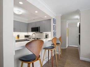 25 Forest Street APT 4A, Stamford CT 06901