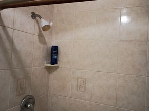 56 Wakelee Avenue Apt53, Shelton CT 06484