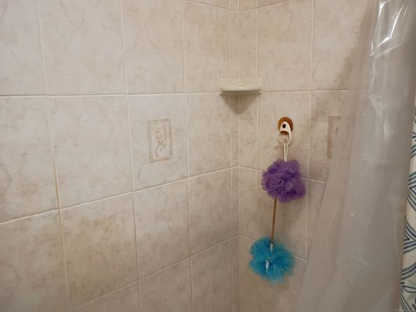 56 Wakelee Avenue Apt53, Shelton CT 06484