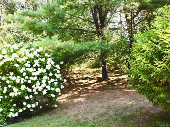 717 Hawley Glen 18, Stratford CT 06614