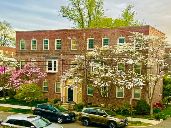 20 Haddon Street 5, Bridgeport CT 06605