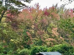 9 Birch Road, Danbury CT 06811