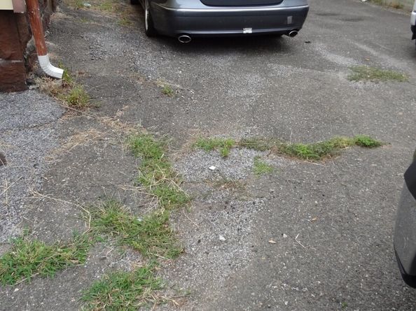 363 Carroll Avenue, Bridgeport CT 06607