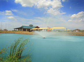 16529  Freshwater Drive , Celina Texas 75009