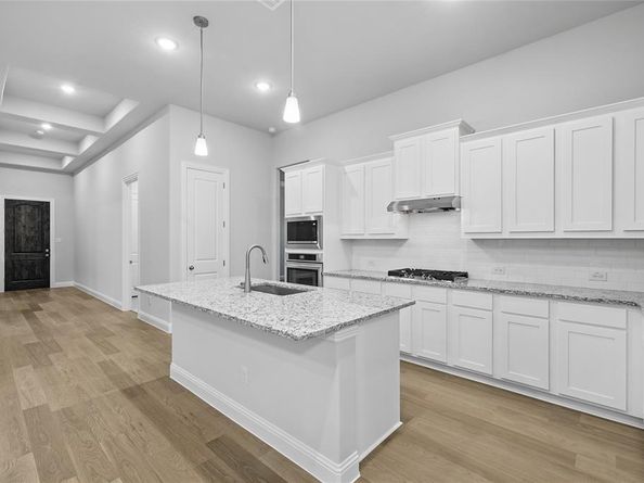 16529  Freshwater Drive , Celina Texas 75009