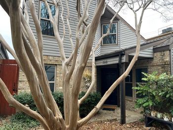 3618  Word Street 
