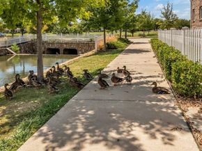 6137  Marquita Mews  , North Richland Hills Texas 76180