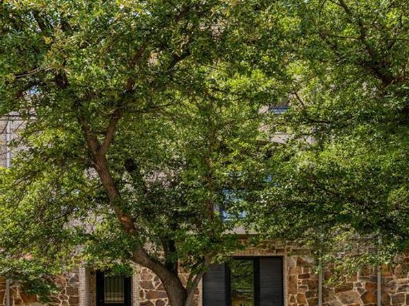 3633  Oak Lawn Avenue , Dallas Texas 75219