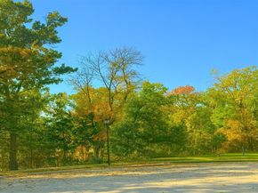 1206  Lake City Avenue , Flower Mound Texas 75028