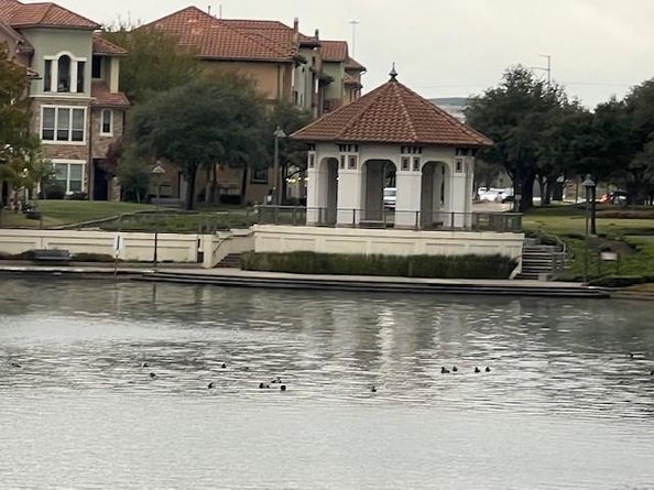 818  La Cima  , Irving Texas 75039