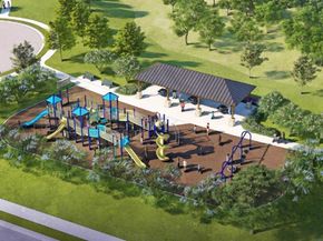 860  Hackberry Drive , Prosper Texas 75078