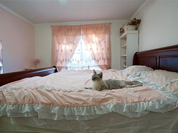 2025  High Bluff Drive , Garland Texas 75041