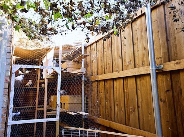 2025  High Bluff Drive , Garland Texas 75041