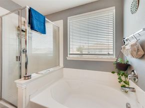 225  Redhead Drive , Little Elm Texas 75068