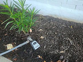 2015  Rose Hill Road , Carrollton Texas 75007