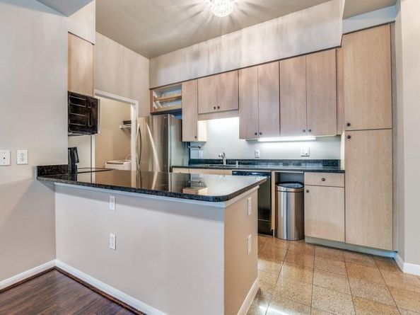 3225  Turtle Creek Boulevard  42, Dallas Texas 75219