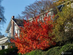 1401 5th Avenue W 306, Seattle WA 98119