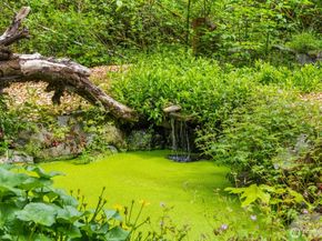 9720 NE Lofgren Road, Bainbridge Island WA 98110