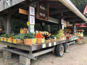254 Meeting House Creek Road, Aquebogue NY 11901