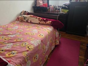 5 Campion Street, Brentwood NY 11717