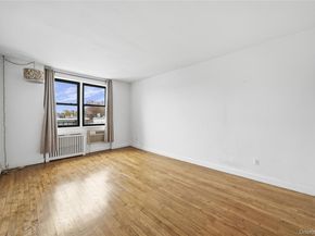 5 Birchwood Court 3N, Mineola NY 11501