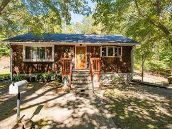 53 Dryad Road