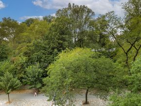 1050 5th Avenue 5D, New York NY 10028