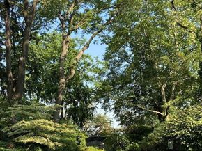 419 East 87th Street 3A, New York NY 10128