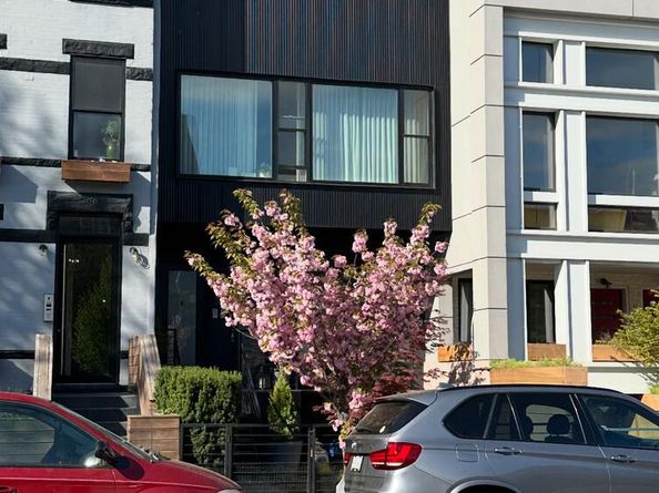 39 Wolcott Street, Brooklyn NY 11231