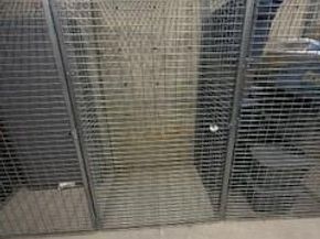 Undisclosed Address #2986785, Denver CO 80221