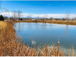 1147 Trout Creek Circle, Longmont CO 80504