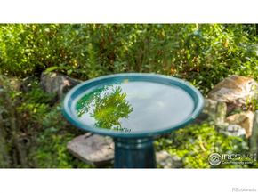 5334 Owens Street, Arvada CO 80002