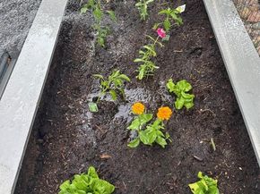 6885 W 69 Place, Arvada CO 80003