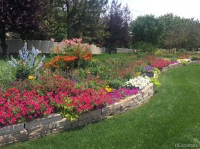 85 Silver Fox Drive, Greenwood Village CO 80121