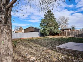 15067 Andrews Drive, Denver CO 80239
