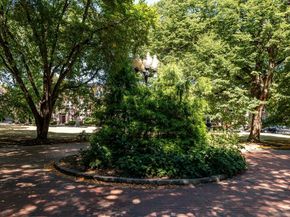 19 Thatcher St E13, Brookline MA 02446