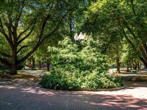 19 Thatcher St E13, Brookline MA 02446
