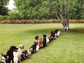 6 Greystone 6, Middleton MA 01949