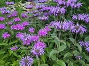 18 Kensington, Plymouth MA 02360