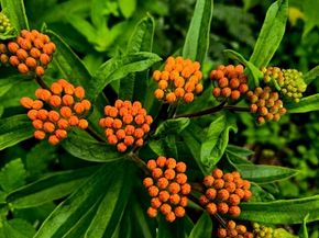 18 Kensington, Plymouth MA 02360