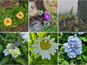 18 Kensington, Plymouth MA 02360