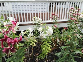 25 Fairhaven Rd, Concord MA 01742