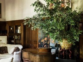 180 Ivy St, Brookline MA 02446