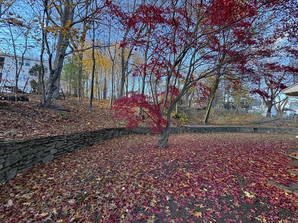 22 Roy St, Worcester MA 01603