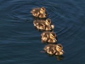 24 Cote Lane, Sutton MA 01590