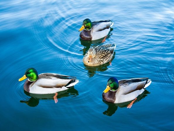 24 Cote Lane, Sutton MA 01590