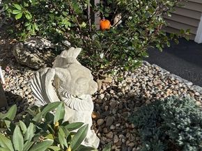 21 Highland Park Road, Rutland MA 01543