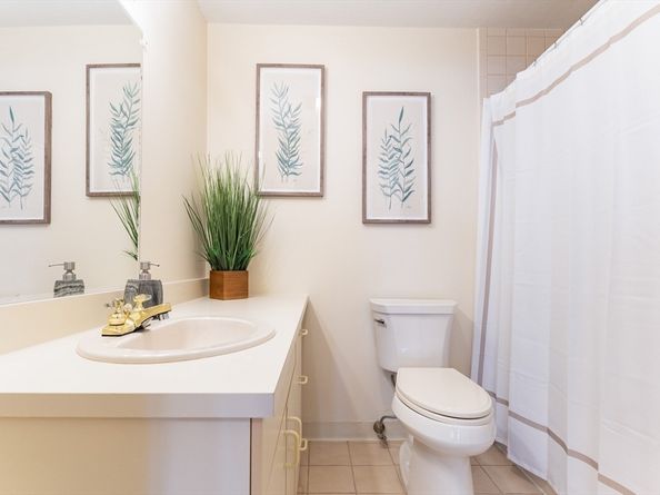 44 Elm Street 501, Worcester MA 01609